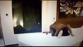 तेलुगु बीवी और बैल का जंगली जोश